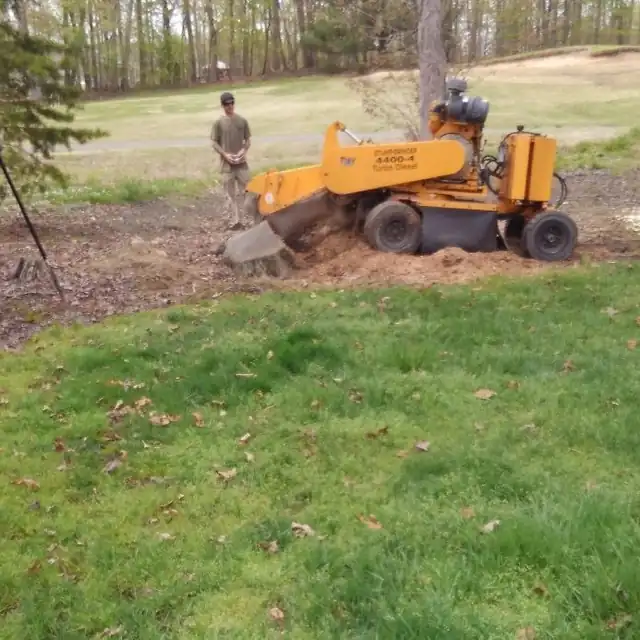 Yellow 4400-D stump grinder cutting a stump down on a residential lawn